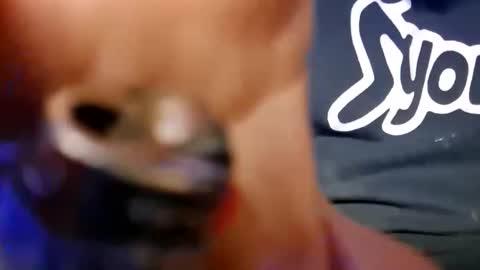 Snapshot of skunk8p chatting on 11, 1, 2026 skunk8p online show from 11, 1, 2026