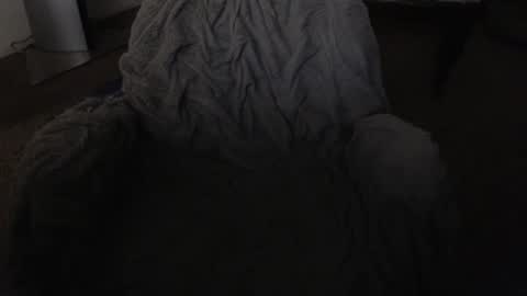 SKYLE   online show from 8, 3, 2025