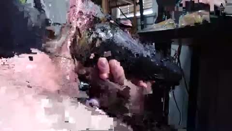 sliderguy699 online show from 15, 12, 2024