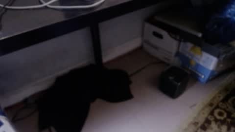 sliderguy699 online show from 9, 4, 2026