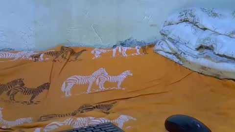 Snapshot of slim_girl3 chatting on 18, 11, 2025 slim_girl3 online show from 18, 11, 2025