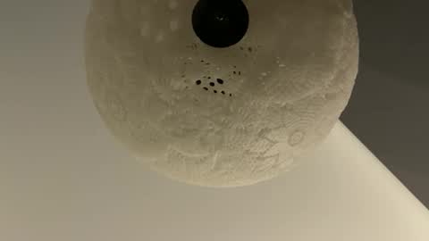 slimguy03 online show from 28, 1, 2025