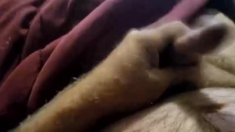 slitlicke69696969 online show from 19, 9, 2025