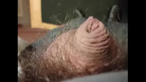 Small Hairy Uncut online show from 27, 1, 2025