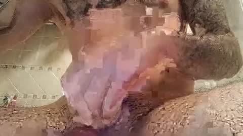 smallone8825 online show from 10, 3, 2025