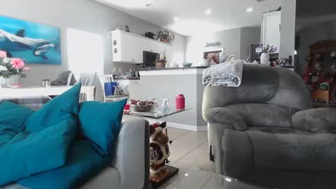 Daddy online show from 15, 12, 2024