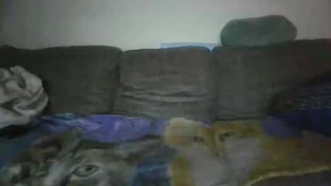 Snapshot of smaug6606 chatting on 24, 11, 2025 smaug6606 online show from 24, 11, 2025