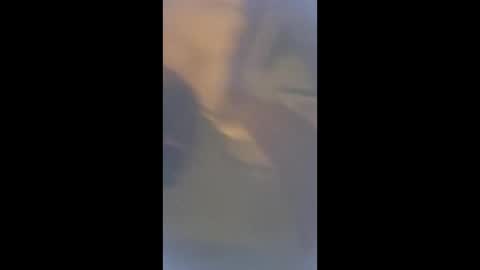 smcock68 online show from 3, 3, 2026