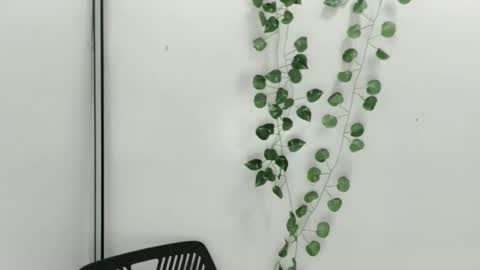 Snapshot of smellon_shake chatting on 9, 10, 2025 Julia online show from 9, 10, 2025