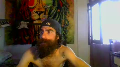 willy online show from 3, 12, 2024