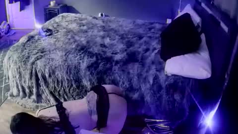 love bug online show from 8, 1, 2026