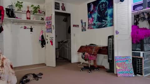 Big Dawg online show from 11, 11, 2025