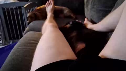 smokynight online show from 14, 9, 2025