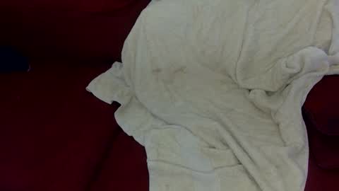 smolqt online show from 5, 3, 2026