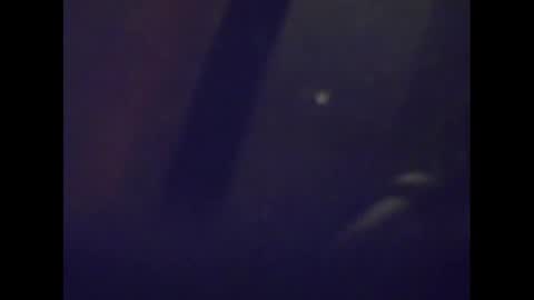 Snapshot of snake1583 chatting on 15, 1, 2025 Mark online show from 15, 1, 2025