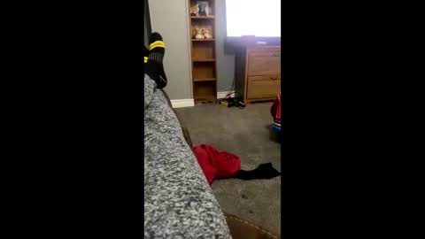 snowball5499 online show from 3, 4, 2026