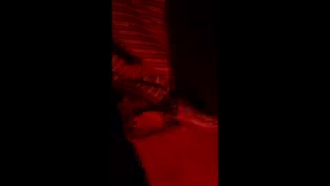 snqhephncxpu online show from 11, 3, 2026