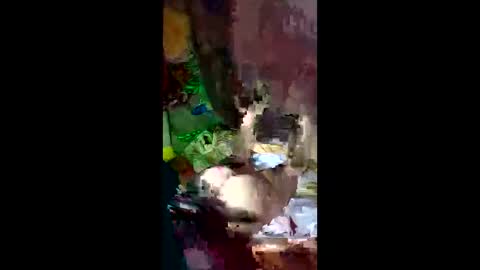 snqhephncxpu online show from 14, 4, 2026