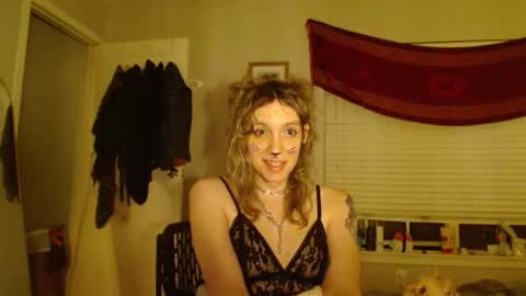 Lilytea online show from 1, 11, 2025