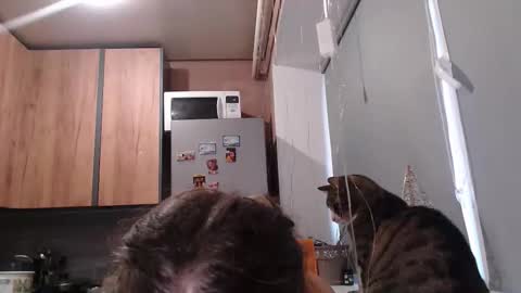 Sofi online show from 7, 1, 2026