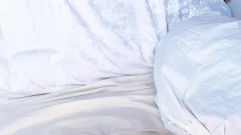 Snapshot of sofia_here chatting on 9, 1, 2025 Sofia here online show from 9, 1, 2025