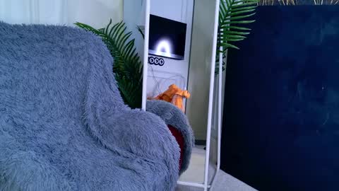 Sofia online show from 1, 4, 2026