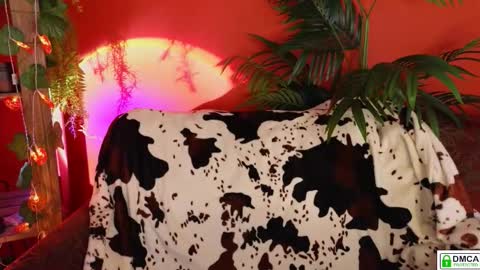 Snapshot of soft_animal chatting on 18, 11, 2025 E online show from 18, 11, 2025