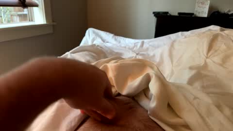 Snapshot of softslickandsweet chatting on 24, 2, 2025 softslickandsweet online show from 24, 2, 2025