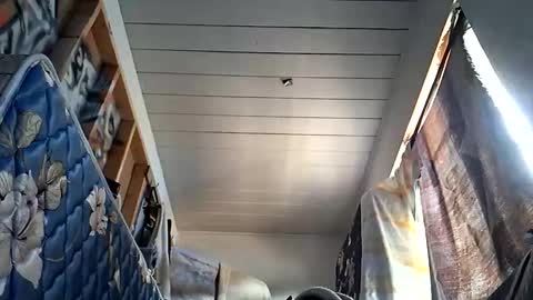 Snapshot of sohan730903 chatting on 1, 10, 2025 sohan730903 online show from 1, 10, 2025