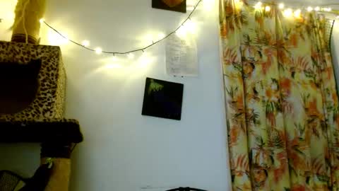 Sofia online show from 19, 2, 2026