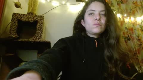 Sofia online show from 24, 2, 2026