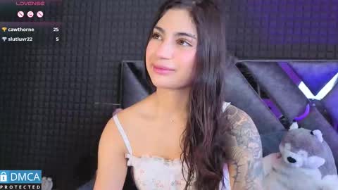 Sol  online show from 15, 11, 2025