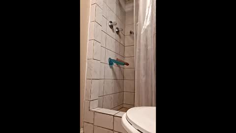 Snapshot of sologirl81 chatting on 6, 2, 2026 sologirl81 online show from 6, 2, 2026