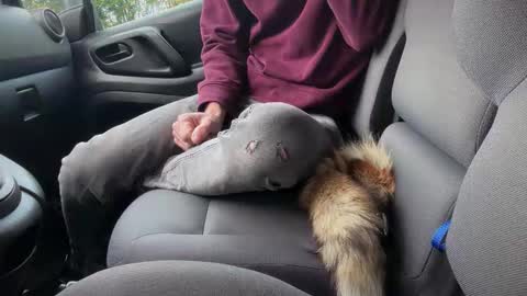 Snapshot of sondages chatting on 6, 11, 2025 Sondages online show from 6, 11, 2025