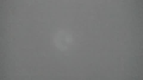 sophia_ebony___ online show from 10, 2, 2026