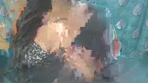 Snapshot of sophia_indian chatting on 24, 2, 2025 Sophia Tamil online show from 24, 2, 2025