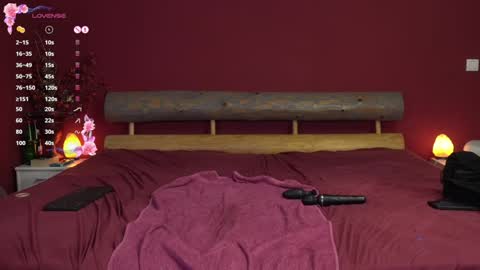 Snapshot of sophiascarlet96 chatting on 16, 12, 2024 sophiascarlet96 online show from 16, 12, 2024