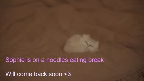 Snapshot of sophiephoria chatting on 6, 2, 2025 Sophie Next stream 3 online show from 6, 2, 2025