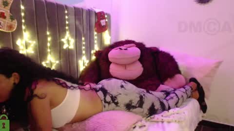 Snapshot of sophiia_dreams chatting on 22, 12, 2024 Sophia this is not my real name online show from 22, 12, 2024