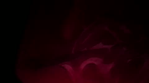 soulmate198781 online show from 26, 12, 2024