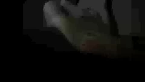 soulsurfer1985 online show from 11, 3, 2026