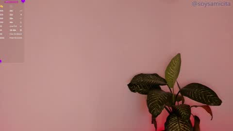 Sami Diaz   online show from 17, 12, 2024