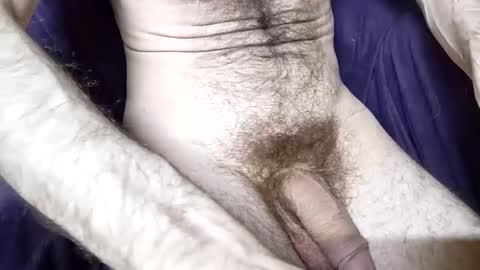 spacecraft_janitor online show from 8, 2, 2026