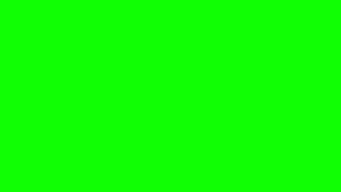 Bob online show from 10, 10, 2025