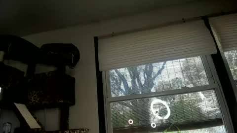 Snapshot of spankamber chatting on 13, 6, 2026 AmberSpanks online show from 13, 6, 2026