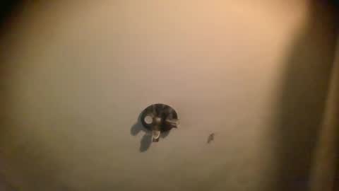 watch me cum online show from 25, 1, 2025