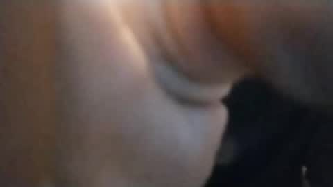 Snapshot of spraytec51500 chatting on 18, 11, 2025 spraytec51500 online show from 18, 11, 2025