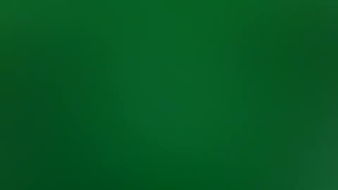 stacysquirtle online show from 4, 2, 2026