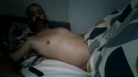 stallion115022 online show from 17, 10, 2025