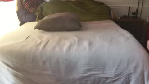 staloney online show from 10, 2, 2026